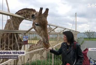 Уберегли почти всех животных: зоопарк в Киевской области возобновил работу после месяца оккупации