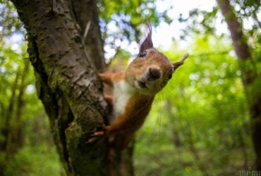 Прохолода на заході й тепло на сході: сьогодні погода здивує українців температурними контрастами