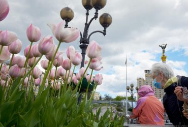 Киевлян ждет пасмурная и ветреная пятница: прогноз погоды на 27 мая