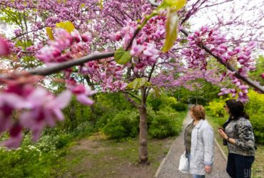 Сегодня в Киеве станет еще свежее, температура упадет ниже +20°