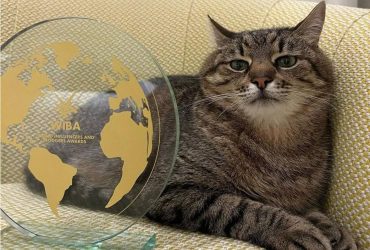 Популярний кіт-блогер з Харкова отримав у Каннах престижну нагороду (фото)