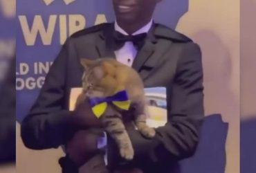 Кот Степан получил престижную премию в Каннах