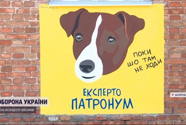 Пес Патрон стал "звездой" мурала. Помощник спасателей обретает новую популярность