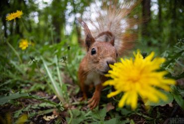 Сегодня в Киеве снова изменится погода