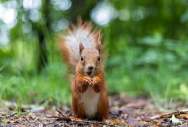 На вихідних в Україну увірветься похолодання (карта)