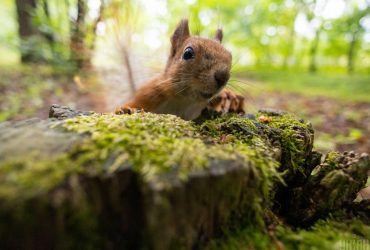 Перед выходными в Украине станет прохладнее: температура снизится почти по всей стране