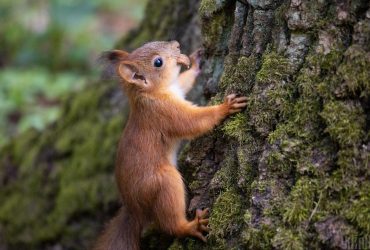 В Україну йде похолодання: синоптик Діденко попередила про зміну погоди