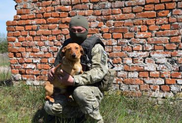 Вдохновляет и помогает: пограничники показали своего пса-добровольца Туксона (фото)