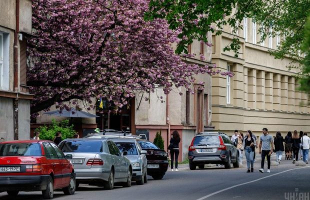 В Ужгороде вовсю цветут сакуры (фоторепортаж)