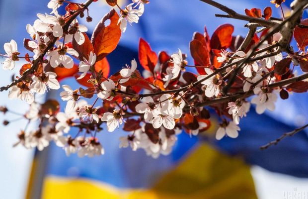 Народне свято 21 травня: традиції, прикмети і заборони
