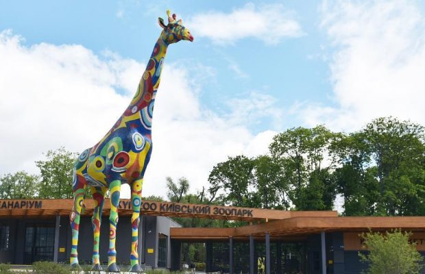Киевский зоопарк возобновляет работу: посетителей ожидают сюрпризы (видео)