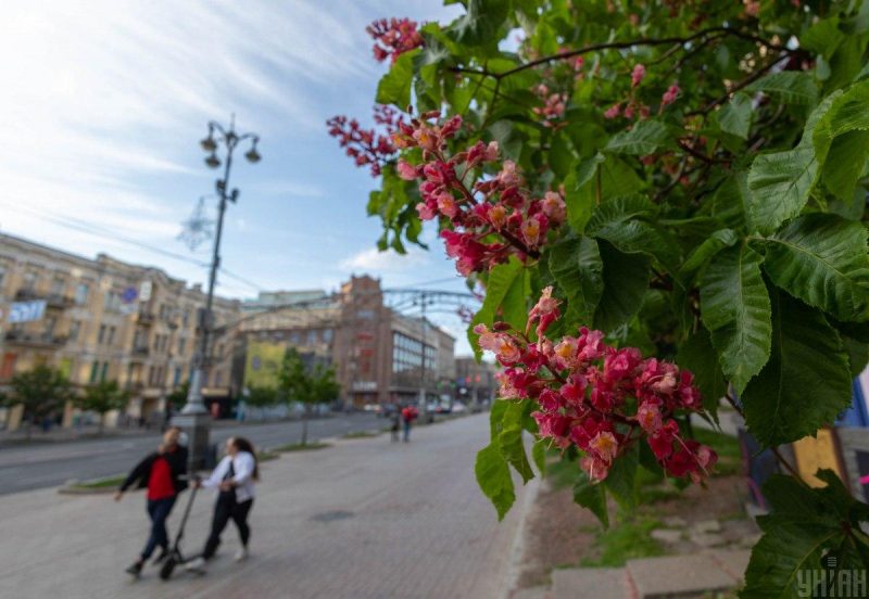 Стабильное тепло у Киевов придет с середины апреля / фото УНИАН Стабильное тепло у Киевов придет с середины апреля / фото УНИАН