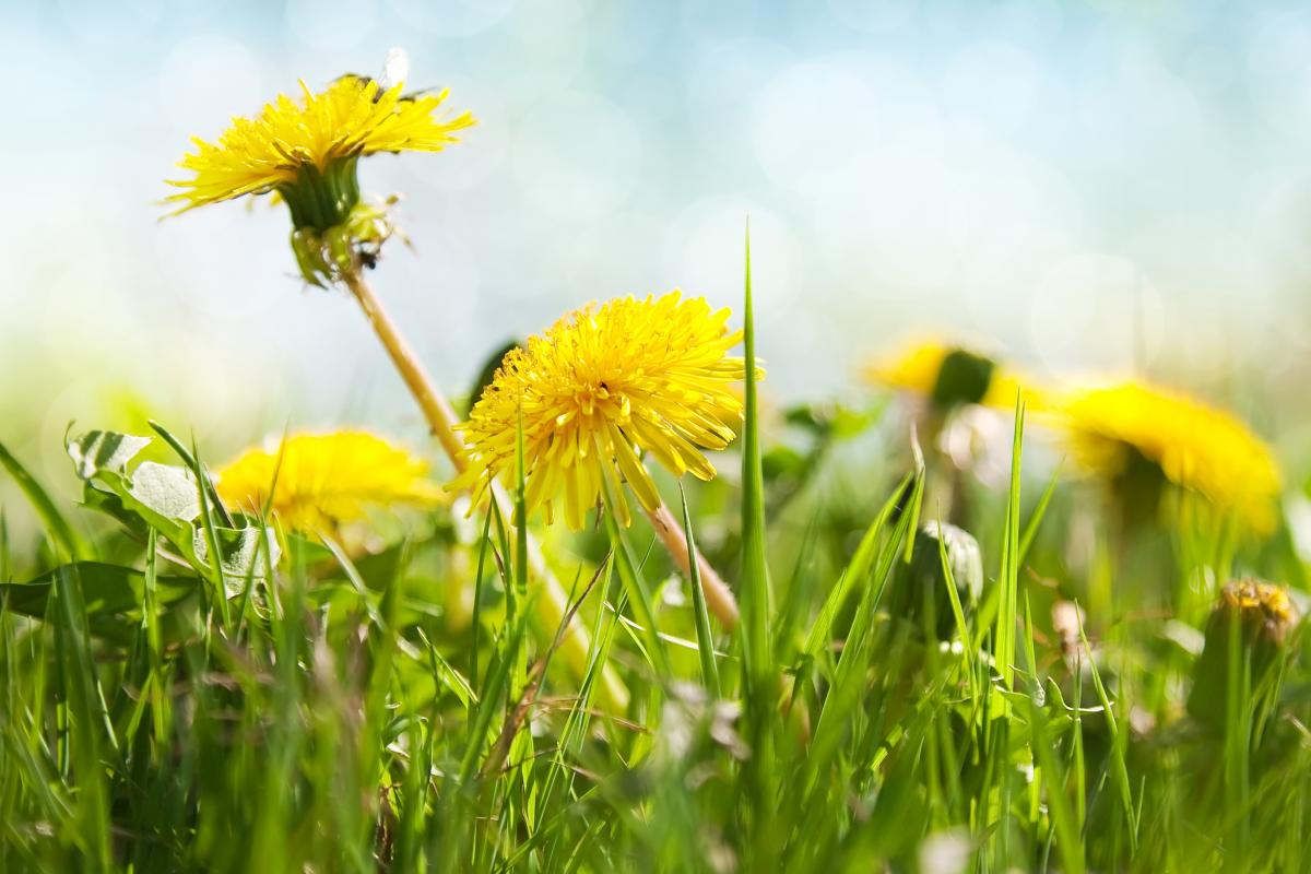 https://images.unian.net/photos/2022_06/1654177059-3433.jpg?r=455177