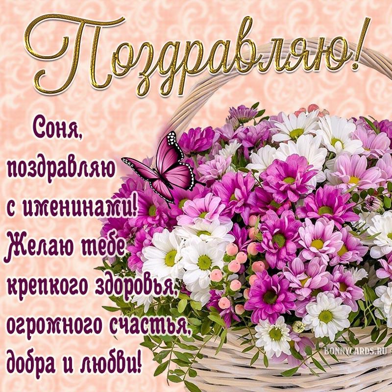 С днем Софии 2022 / фото bonnycards.ru