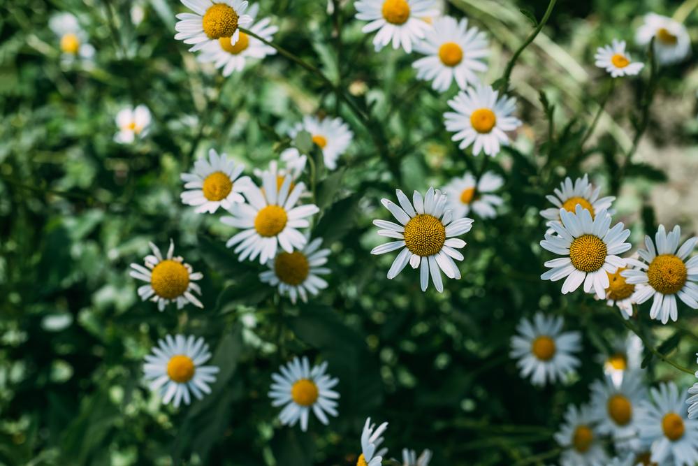 https://images.unian.net/photos/2022_06/1654351864-8446.jpg?r=160035