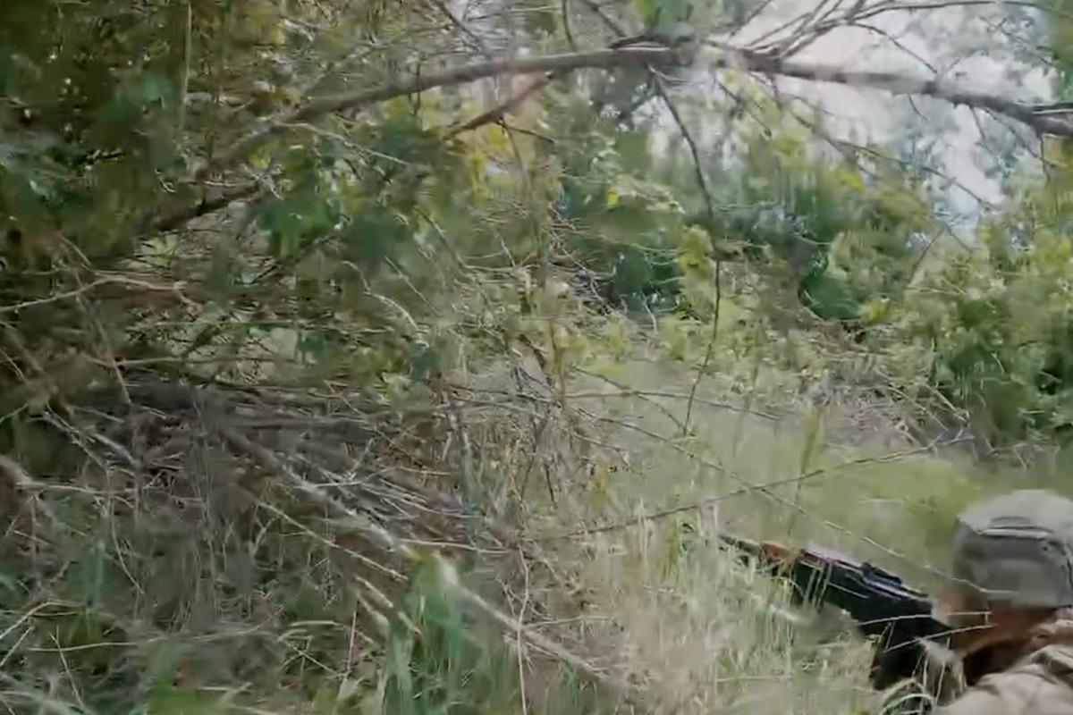 Ближній бій з окупантами / Скріншот Ближній бій з окупантами / Скріншот