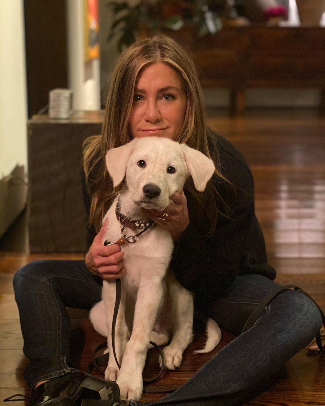 Дженніфер Еністон / instagram.com/jenniferaniston Дженніфер Еністон / instagram.com/jenniferaniston