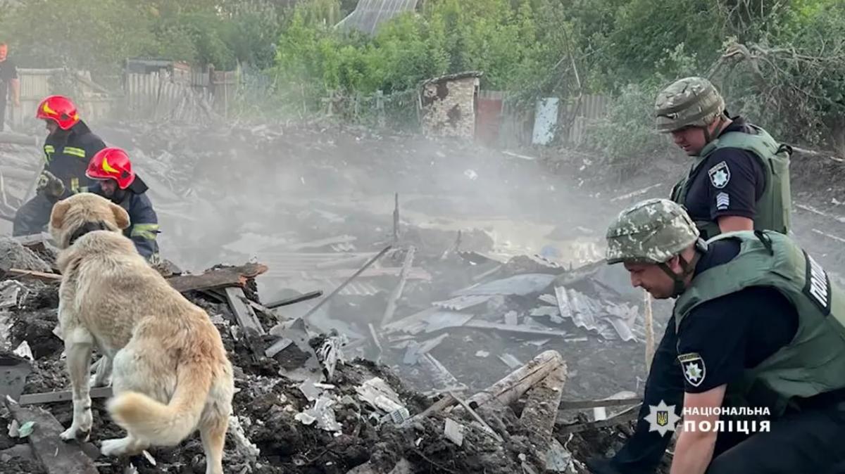 Пес чекає господарів на руїнах будинку / фото Нацполіція Пес чекає господарів на руїнах будинку / фото Нацполіція