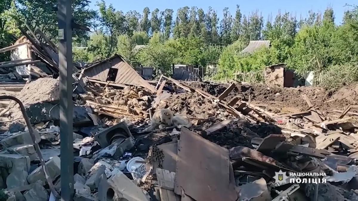 Бадді чекає, що за ним повернуться господарі / фото Нацполіція Бадді чекає, що за ним повернуться господарі / фото Нацполіція