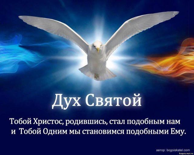 С Днем Святого Духа 2022 / фото bipbap.ru С Днем Святого Духа 2022 / фото bipbap.ru