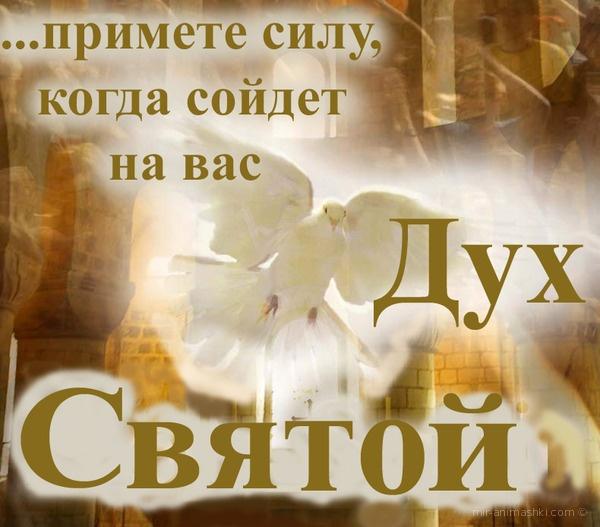 С Днем Святого Духа 2022 / фото bipbap.ru С Днем Святого Духа 2022 / фото bipbap.ru