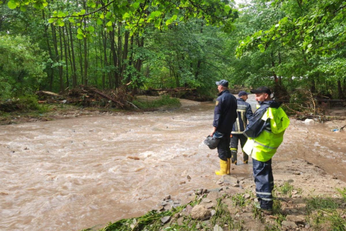 У Тернопільській області машину знесло у річку, є три жертви / фото Головне управління ДСНС України у Тернопільській області У Тернопільській області машину знесло у річку, є три жертви / фото Головне управління ДСНС України у Тернопільській області