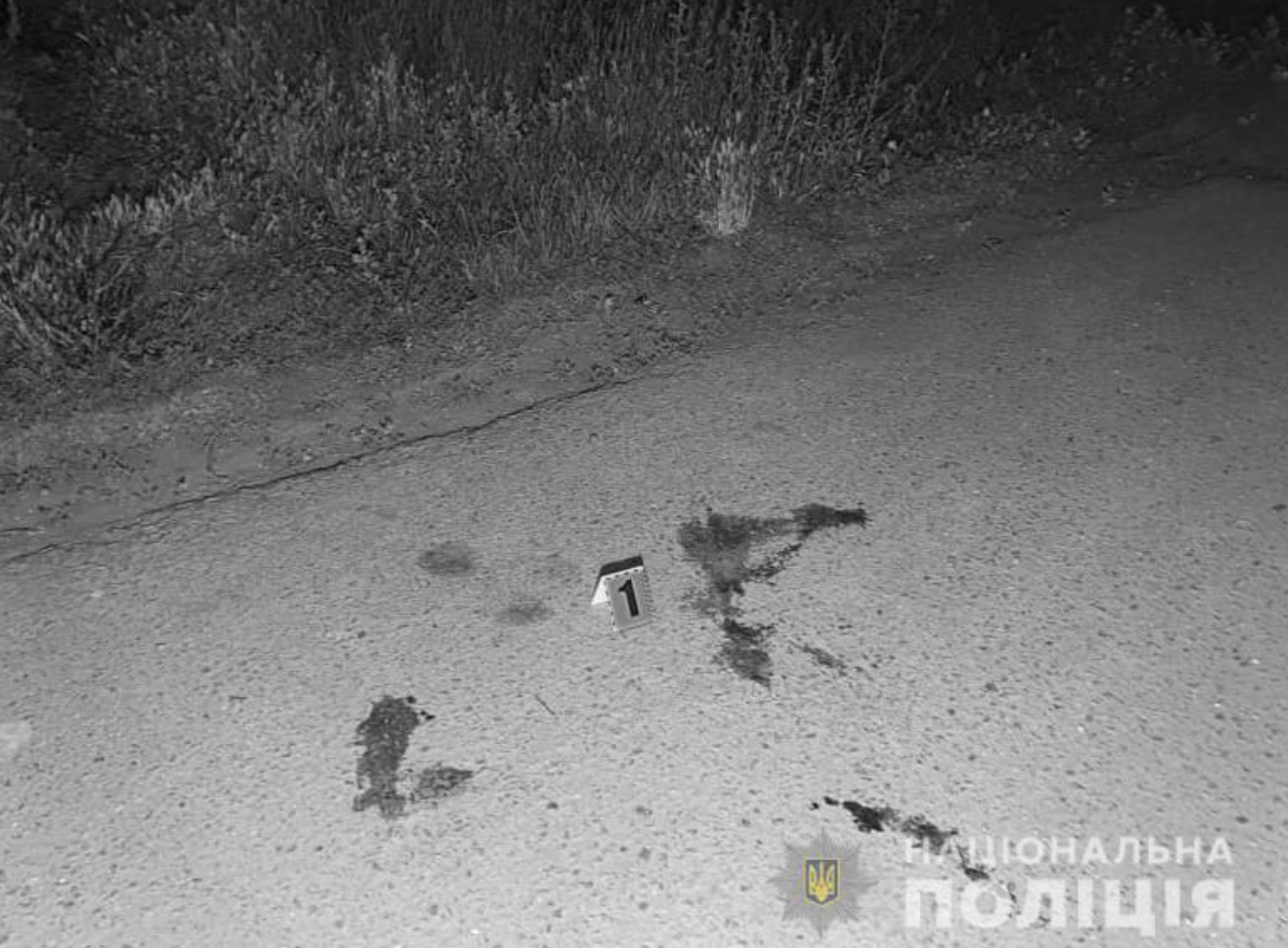 Пікнік в Одесі закінчився нападом / фото Нацполіція Пікнік в Одесі закінчився нападом / фото Нацполіція