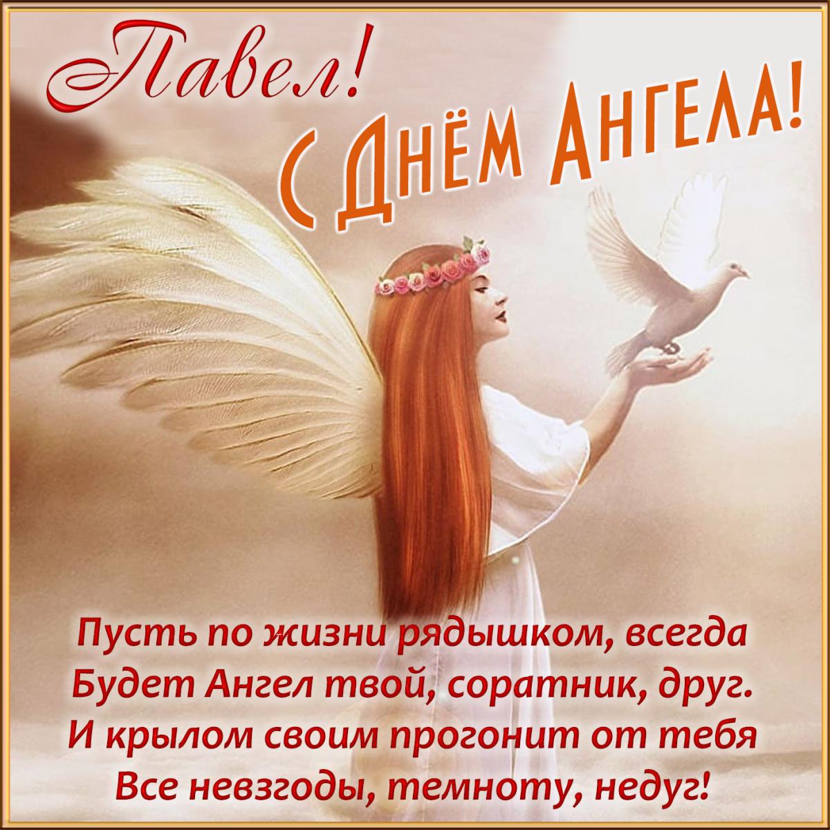 Happy Paul's Day 2022 / photo bonnycards.ru Happy Paul's Day 2022 / photo bonnycards.ru