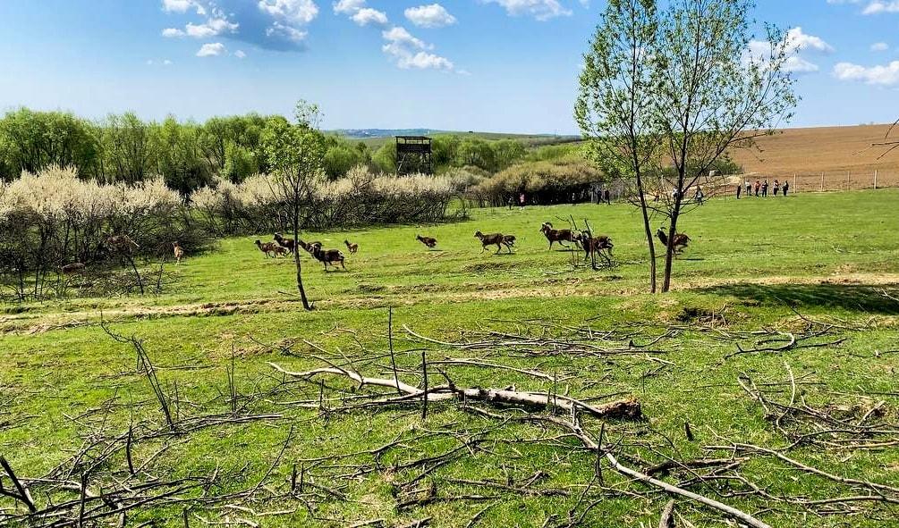 Закарпаття - серед регіонів, які можуть приймати туристів / фото Макс Адаменко