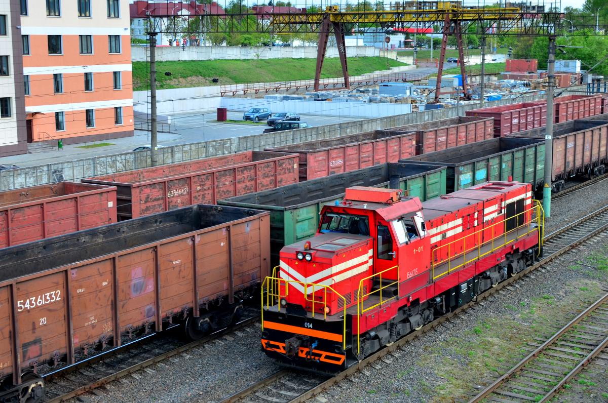 The Lithuanian Railway will not transport sanctioned goods to Kaliningrad / photo ua.depositphotos.com