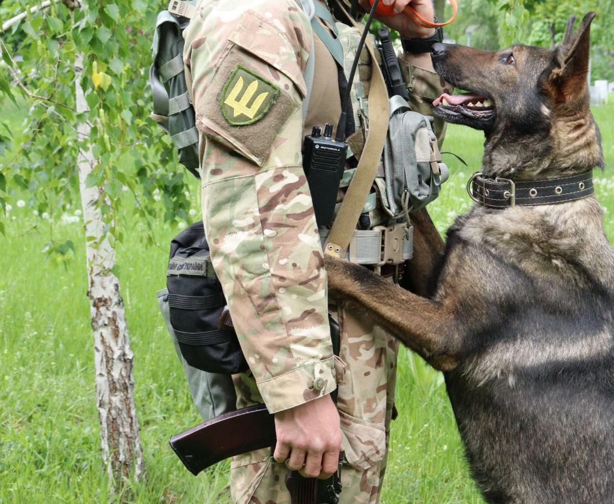Разведчики показали свою четвероногую напарницу / фото ГУР МО Разведчики показали свою четвероногую напарницу / фото ГУР МО