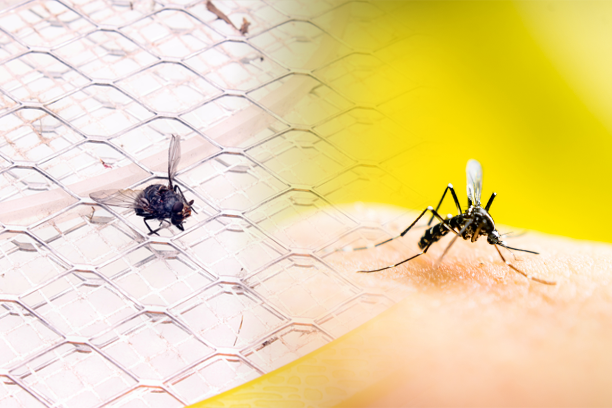 Чим мазати комарині укуси, щоб вони швидко пройшли / depositphotos.com