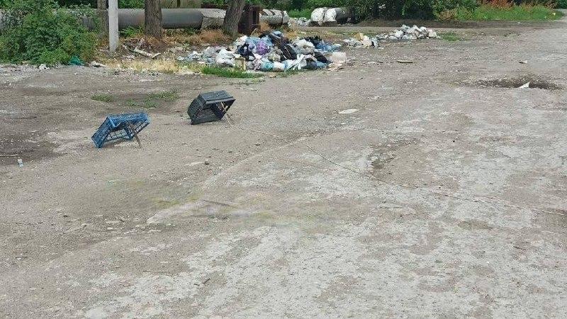"Пастки" для маріупольських голубів / фото: Денис Казанський "Пастки" для маріупольських голубів / фото: Денис Казанський