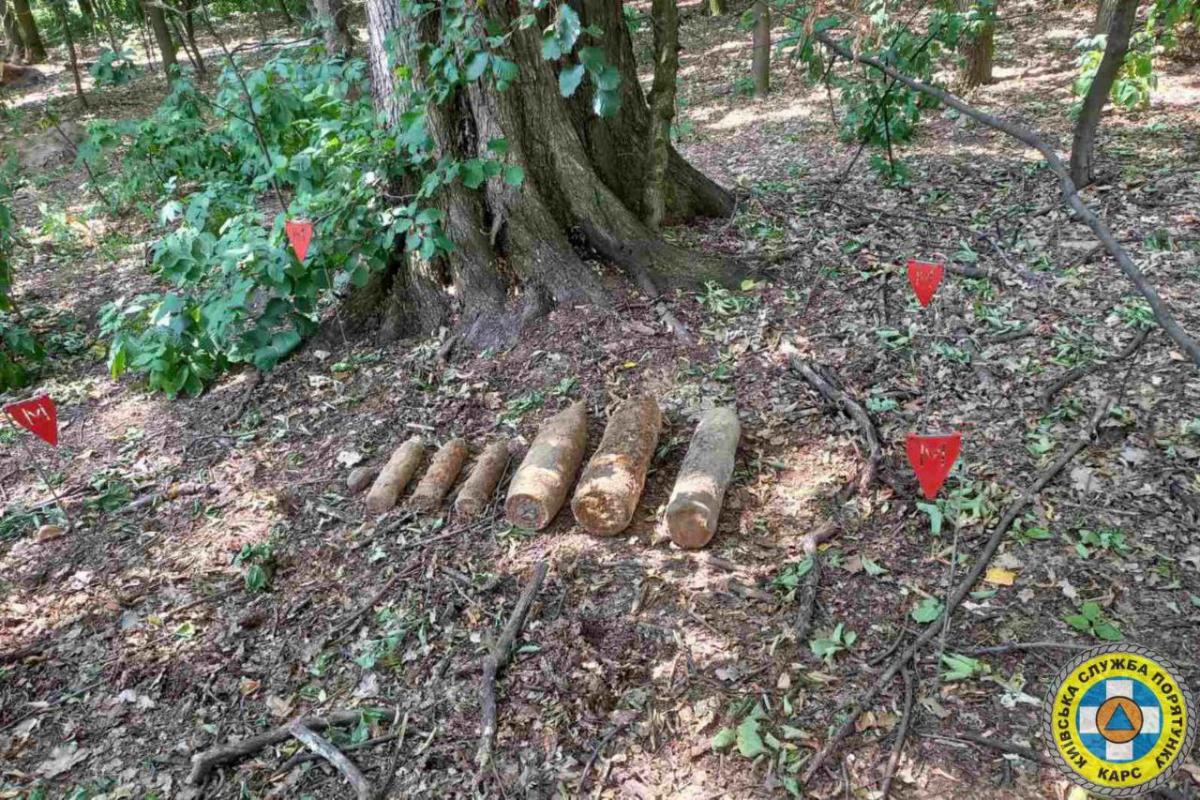 Снаряди з ботсаду / фото КАРС Снаряди з ботсаду / фото КАРС