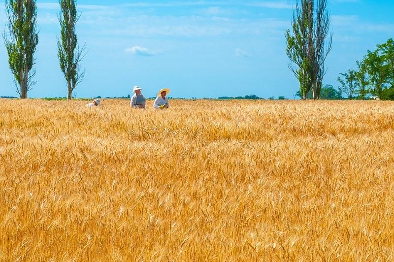 Красиві картинки про Україну / фото klike.net Красиві картинки про Україну / фото klike.net