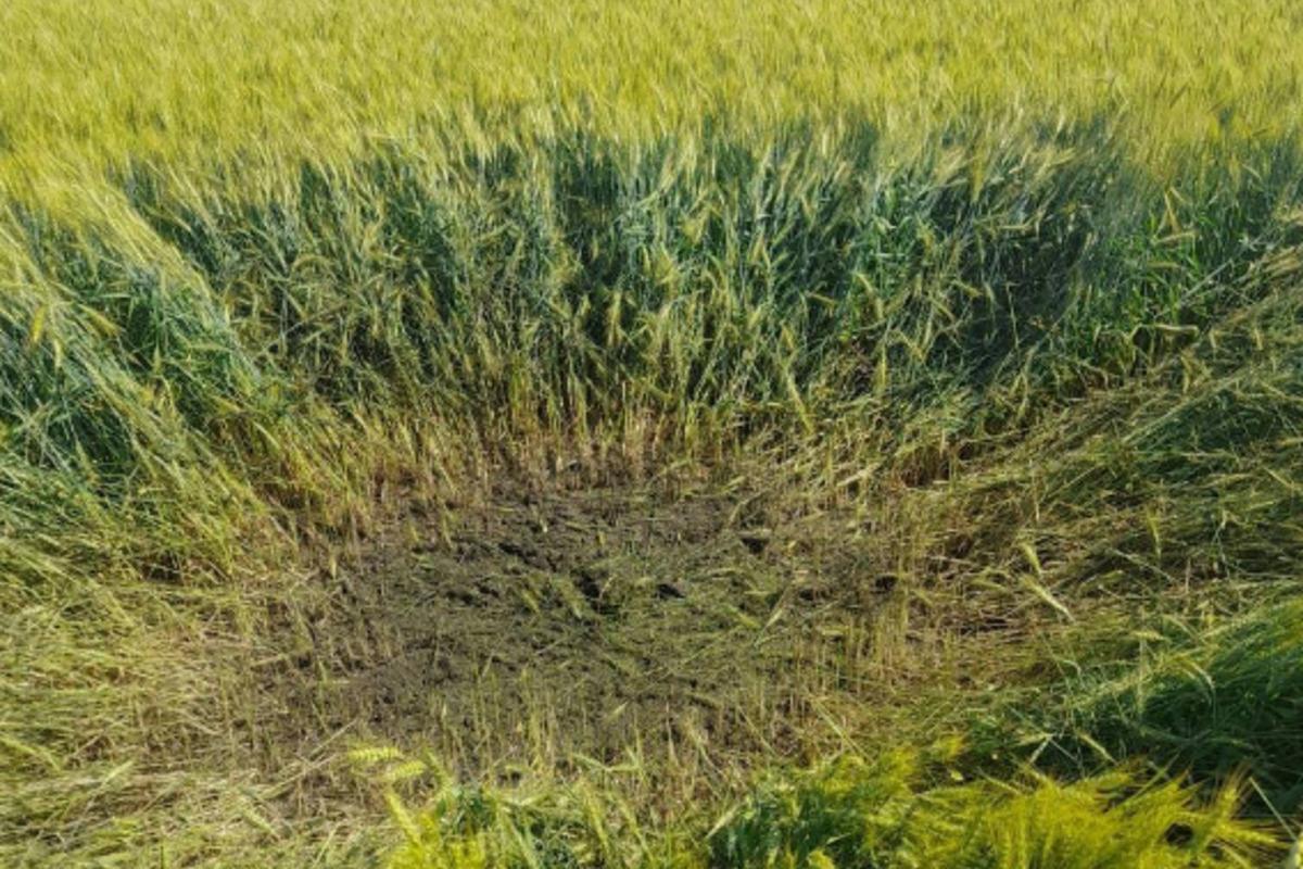 На Сумщині збили ворожий ударний дрон, від нього майже нічого не лишилося / фото t.me/DPSUkr На Сумщині збили ворожий ударний дрон, від нього майже нічого не лишилося / фото t.me/DPSUkr