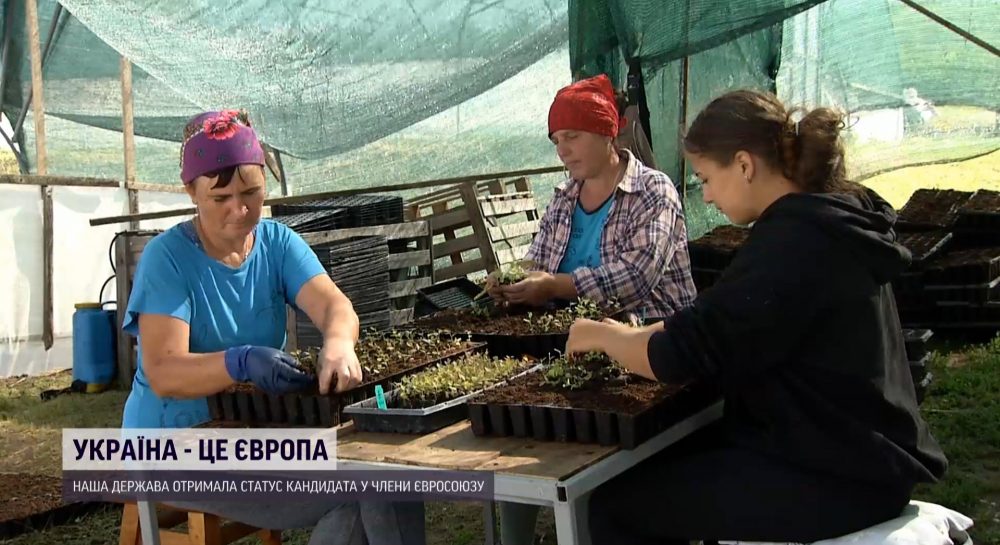 Как Украина планирует возвращать своих граждан домой из стран ЕС