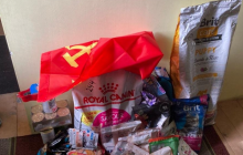 Жителька Ірпеня разом з окупантами грабувала домівки містян (фото, відео)