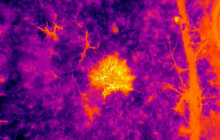 Бійці ЗСУ показали результати нічного "полювання" на окупантів: атмосферне відео