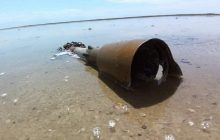 На Одещині через напад Росії на Україну постраждав заповідник "Тузлівські лимани" (фото)