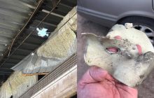 Окупанти обстріляли Сумщину з реактивної артилерії, поранено тварин (фото)