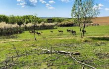 Отдых во время войны: что предлагают туристам на Закарпатье