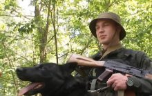 Службовий пес тиждень шукав господаря під кулями та подолав майже 30 кілометрів (відео)