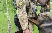 Разведчики показали свою четвероногую напарницу (фото)