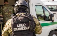 Польские пограничники показали подкоп белорусских военных на своей границе (фото)