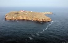 Українські військові завдали удару по ворожих позиціях на острові Зміїний – ОК "Південь"