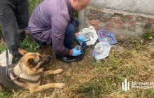 В Україні викрили наркобанду спецслужб РФ: продавали наркотики військовим (відео)