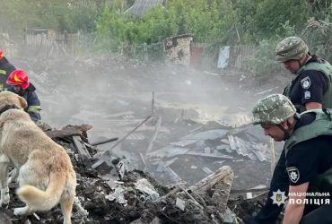 На Донеччині собака чекає господарів на руїнах будинку (фото, відео)