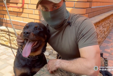 Ми обидва залишилися без домівки: КОРДівець розповів про врятованого пса (відео)