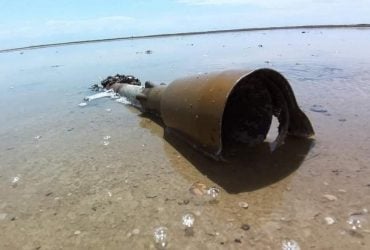 На Одещині через напад Росії на Україну постраждав заповідник Тузлівські лимани (фото)